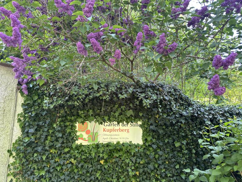 Pilgertour am Abend - Pilgertour mit Impuls und Segen im Garten der Stille.