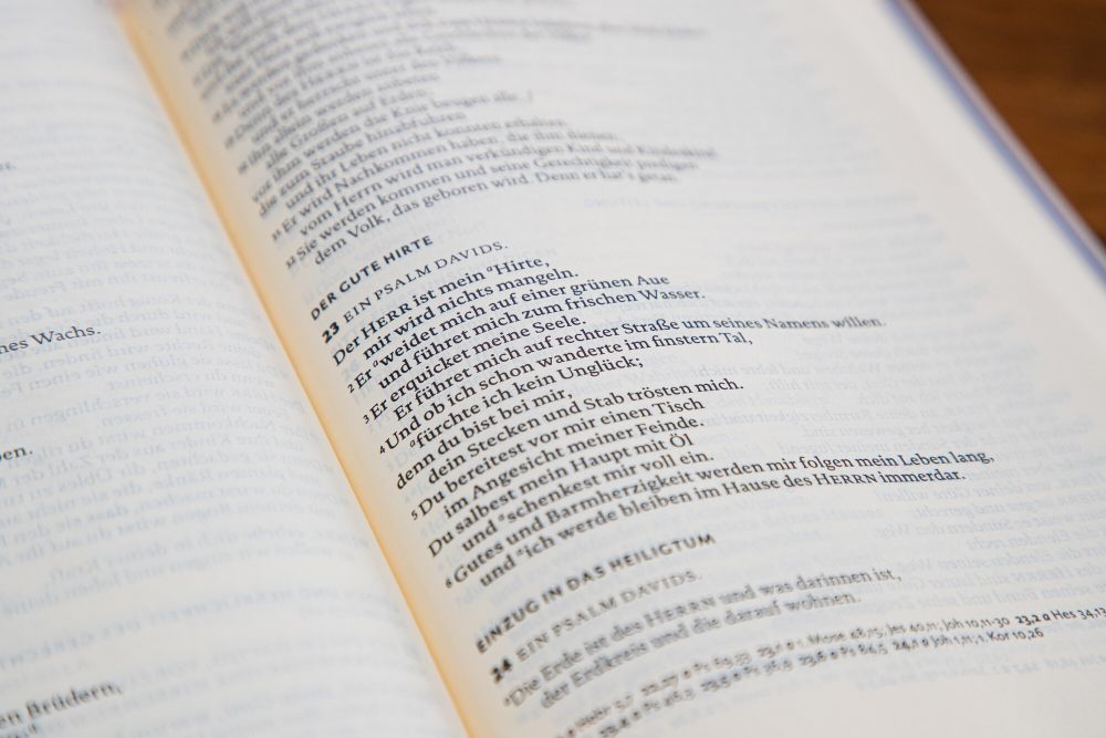 Bibel im Gespräch